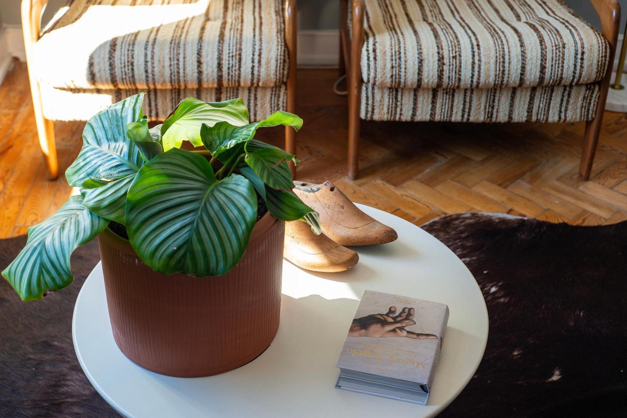 Graca - Castle | Lisbon Cheese & Wine Apartments Екстериор снимка